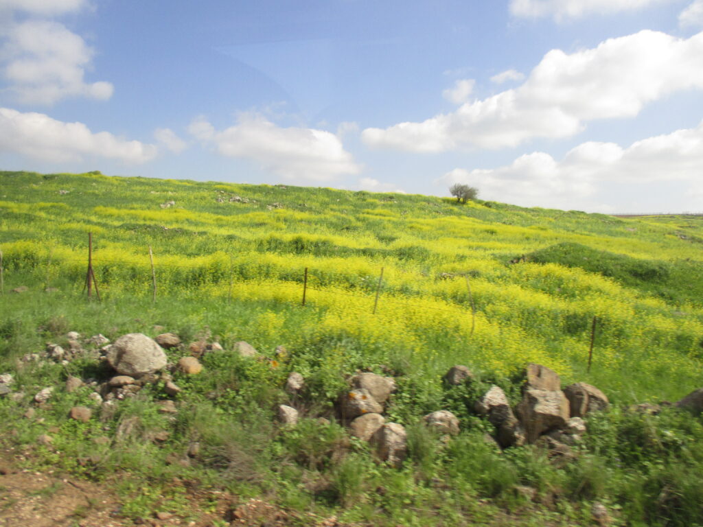 Golan Heights