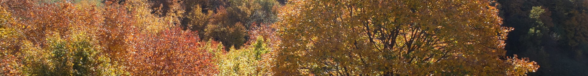 Monte Navegna, Italy